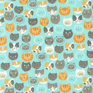 Here Kitty Kitty: Meow in Aqua **ALMOST GONE** Here Kitty Kitty: Meow in Aqua **ALMOST GONE**