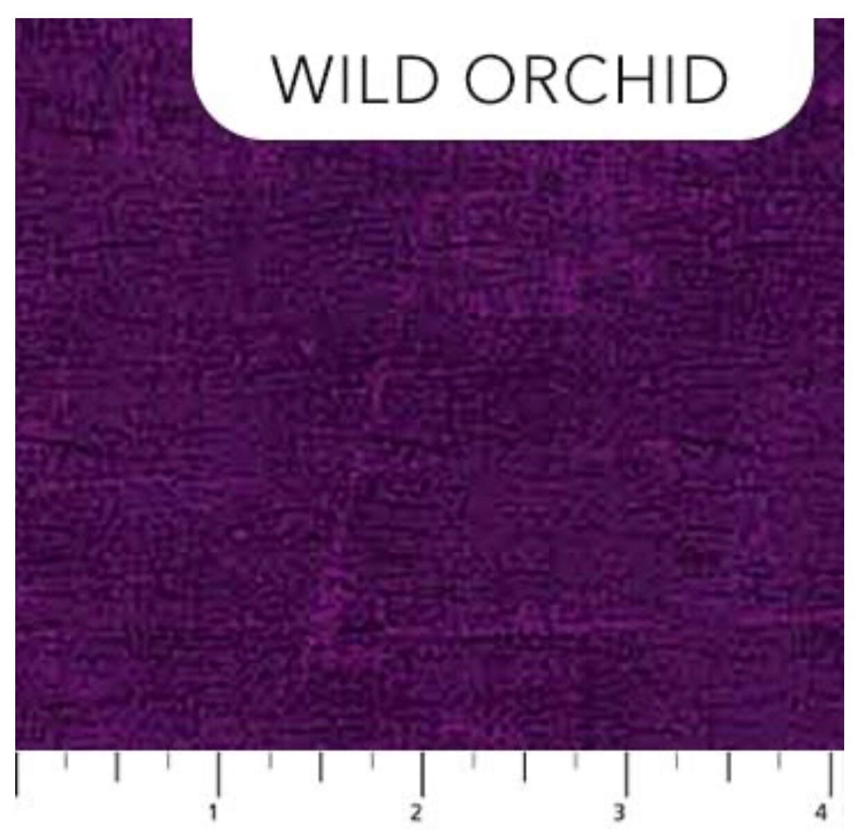 Enchanted Bloom Peacock Plumes Wild Orchid - Stephanie Organes - PER QUARTER METRE Enchanted Bloom Peacock Plumes Wild Orchid - Stephanie Organes - PER QUARTER METRE