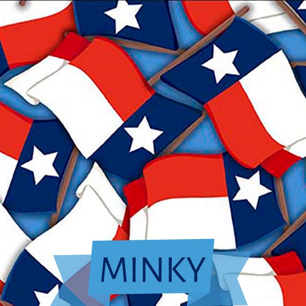 Minky Texas State Flag - Priced by the Half Yard - All Texas Shop Hop - QT Fabrics - 2600 30092 RBMINK