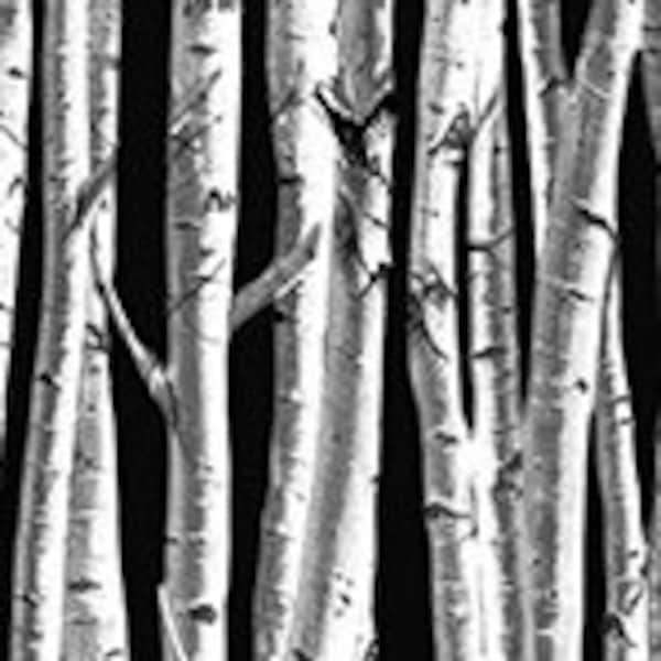 Birch Forest Flannel Black - Fletcher by Whistler Studios - Sold by the Half Yard - 2-ply Flannel - Windham Fabrics - 53695F-2