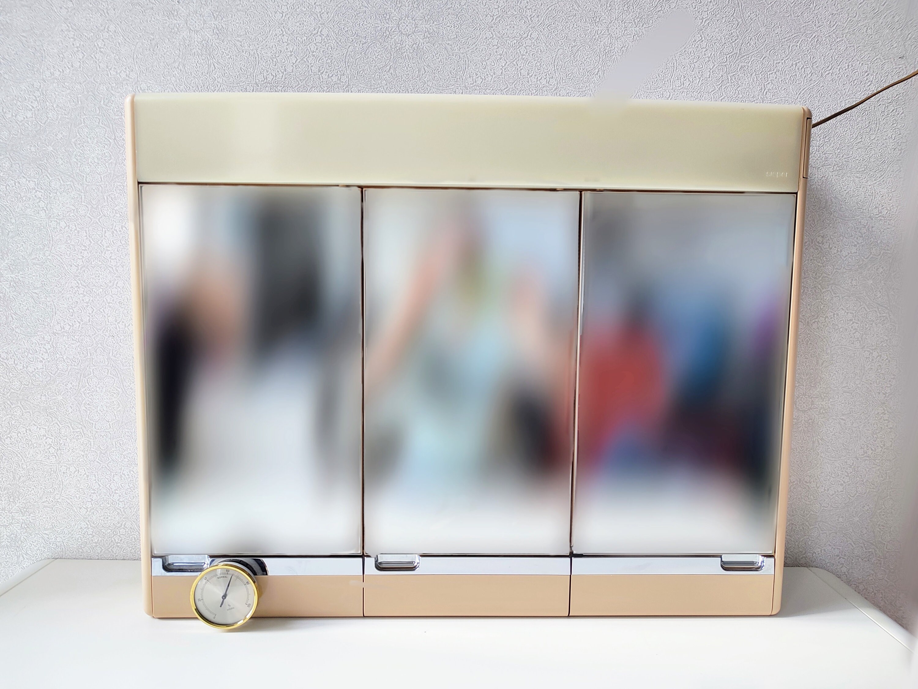 Mid Century Bathroom Wall Cabinet / German Wall Mount Cabinet With ...