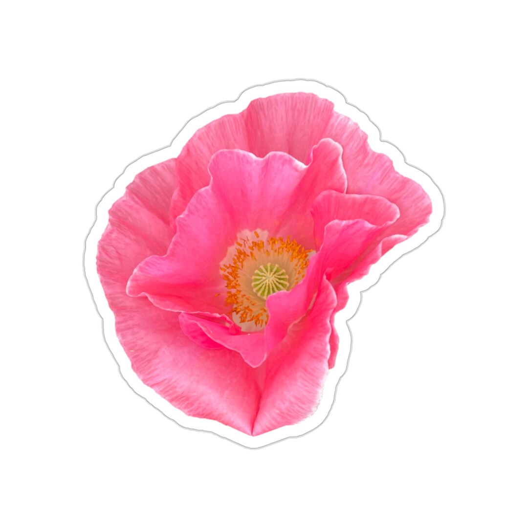Pink Poppy Diecut Sticker Etsy