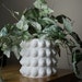 see more listings in the Planters & Vases section