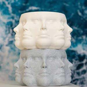 Multi Face Planter, UK, Indoor Planter, Succulent Planter, Gift, Unique Plant Pot, 3D Printed, Polyface, Many Faces Vase