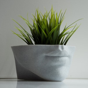 Lips Planter, Eco Face Vase, Succulent Plant Pot, Female Form, Unique Planter, Made in UK, Gift for Her, Herb Planter, 3D Printed,Flower Pot