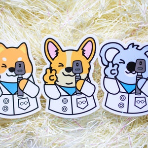Tieraugen Doktor Aufkleber (Dr. Panda, Dr. Shiba Inu, Dr. Koala, Dr. Corgis) || Optometrie & Augenheilkunde Vinyl Sticker