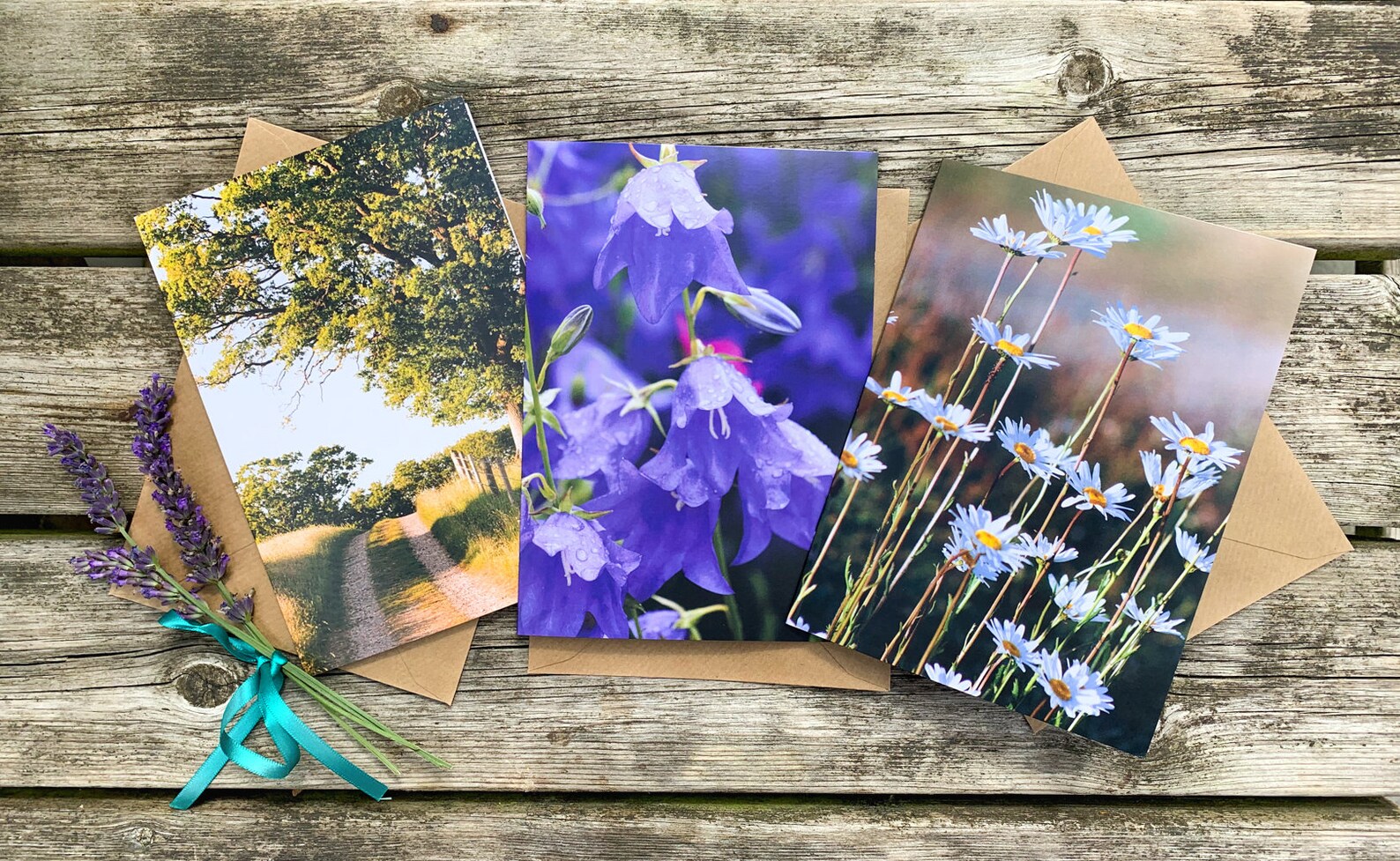 Nature Photography Collection of Blank Greeting Cards Pack - Etsy UK