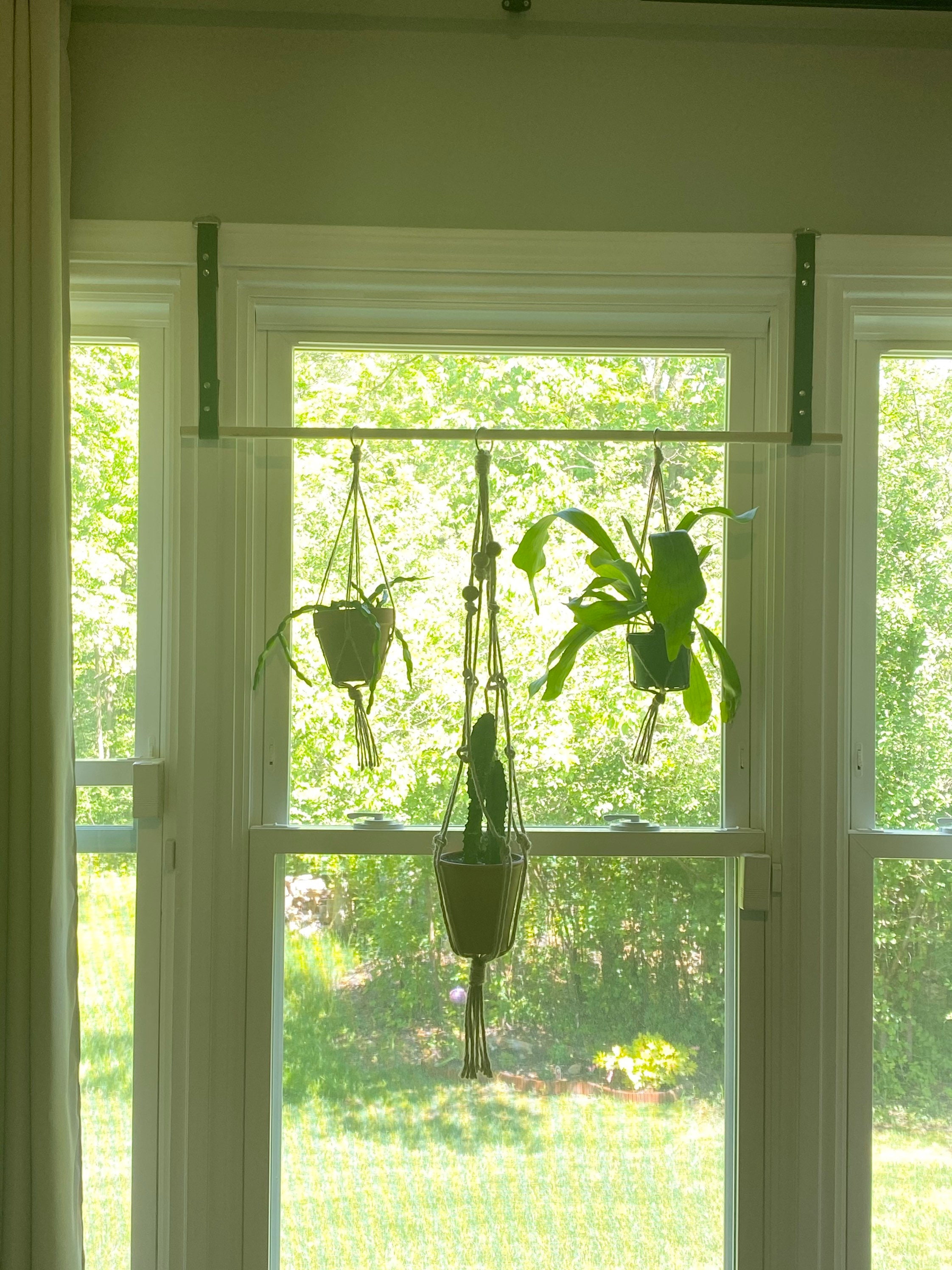 Window Plant hanger rod Etsy