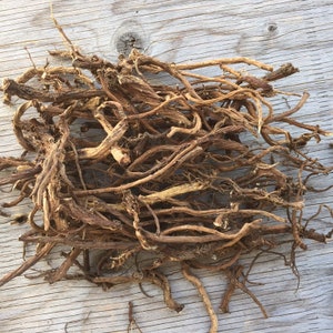 Dried dandelion roots. Dandelion roots.