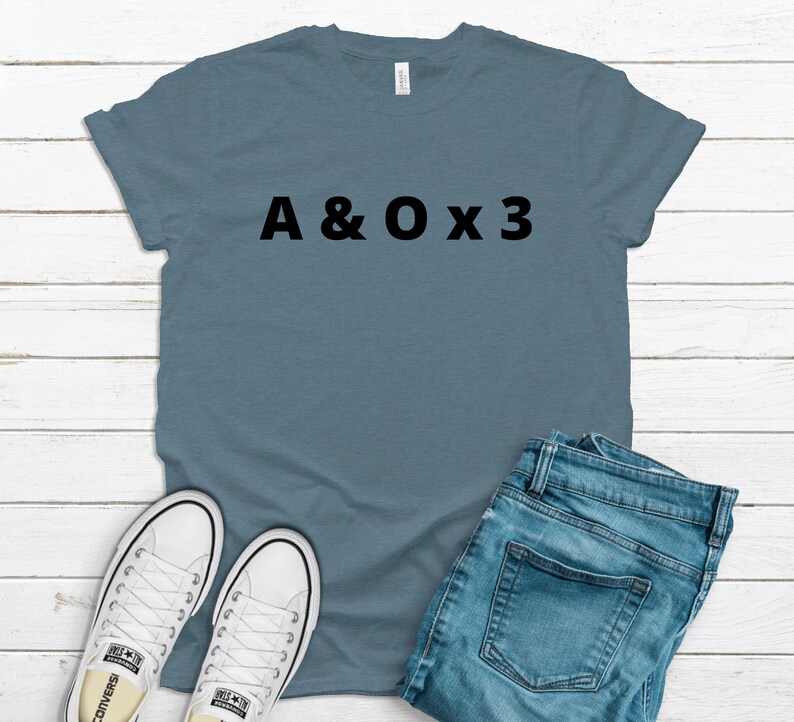 Alert and Oriented x 3 shirt Bella 3001 nurse Nurse Etsy