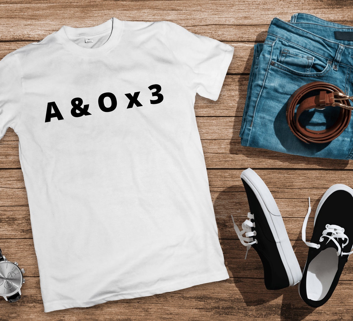 Alert and Oriented x 3 shirt Bella 3001 nurse Nurse Etsy