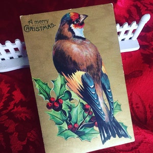 Vintage 1910 Gold Bird Ivy/Holly Seasonal Postcard/Christmas Bird Postcard/Christmas Greeting Card 1910/Vintage Christmas Ephemera