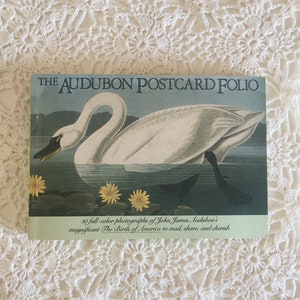 Bird Ephemera Postcards/ Audubon Postcard Folio/ Animal Bird Postcards/ Birds Of America Postcard Folio/Bird Postcards / Postcard Booklet