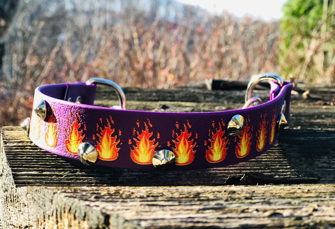 Handmade Biothane Dog Collar Durable Waterproof Strong Etsy