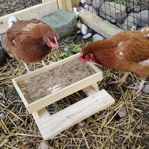 Large Chicken, Bird and Critter Picnic Table Chicnic Table Squirrel Feeder Bird Feeder