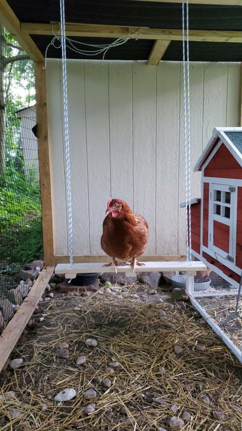 Chicken Swing Chicken Coop Chicken Toy Coop Swing Chicken Etsy
