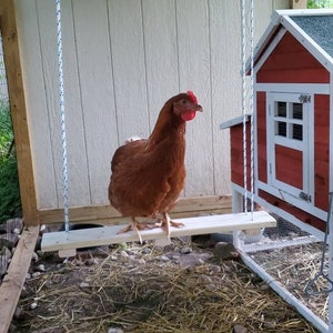 Chicken Swing! Handmade in the USA, Chicken Coop, Chicken Toy, Coop Swing, Chicken Perch, Chick, Accessories for Coop