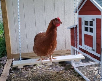 Chicken Swing! Handmade in the USA, Chicken Coop, Chicken Toy, Coop Swing, Chicken Perch, Chick, Accessories for Coop