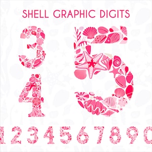 Cifre clipart dell'oceano per ragazze decorate. Numeri digitali di vita marina rossa. Decorazione grafica estiva della barriera corallina. Grafica numerica di conchiglia PNG e SVG.
