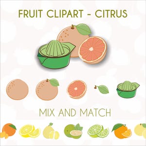 Bright Citrus Clipart Collection. Hand-drawn citrus fruits, including oranges, lemons, limes, and grapefruits, along with leaves, and slices