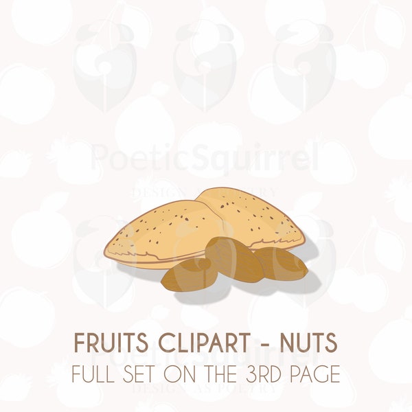 NUTS CLIPART flat lay images. Hand-drawn colorful PNG patterns. Transparent background. Digital printable graphics for stickers/planners.