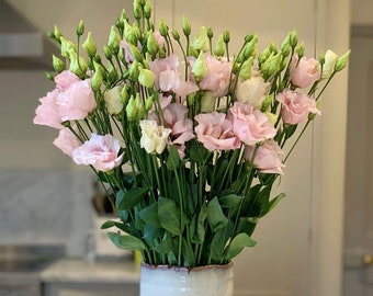 Fresh Lisianthus | Flower Bouquet | Letterbox Flowers | Flowers Delivered | Pink Eustoma | Bouquet Delivered