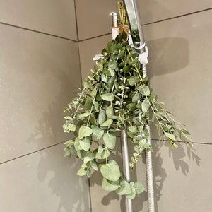 Eucalyptus Shower Bunches | Fresh Eucalyptus | Natural Eucalyptus | Baby Blue Eucalyptus