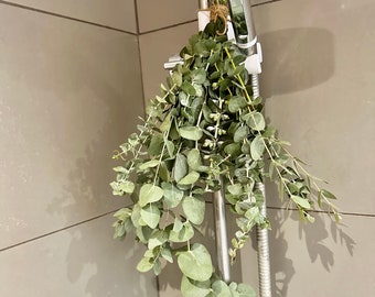 Eucalyptus Shower Bunches | Fresh Eucalyptus | Natural Eucalyptus | Baby Blue Eucalyptus