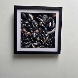 May include: A framed artwork displaying a collection of dark blue and white seashells. The shells are closely arranged, forming a textured surface. The frame is black with a white mount, and the artwork is set against a white wall.