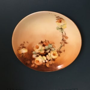 ANTIQUE 1873-1918 AUSTRIA Hallmark Fischer and Mieg of Pirkenhammer Crossed Hammers 6&quot; inches in diameter plate, saucer, hand painted floral