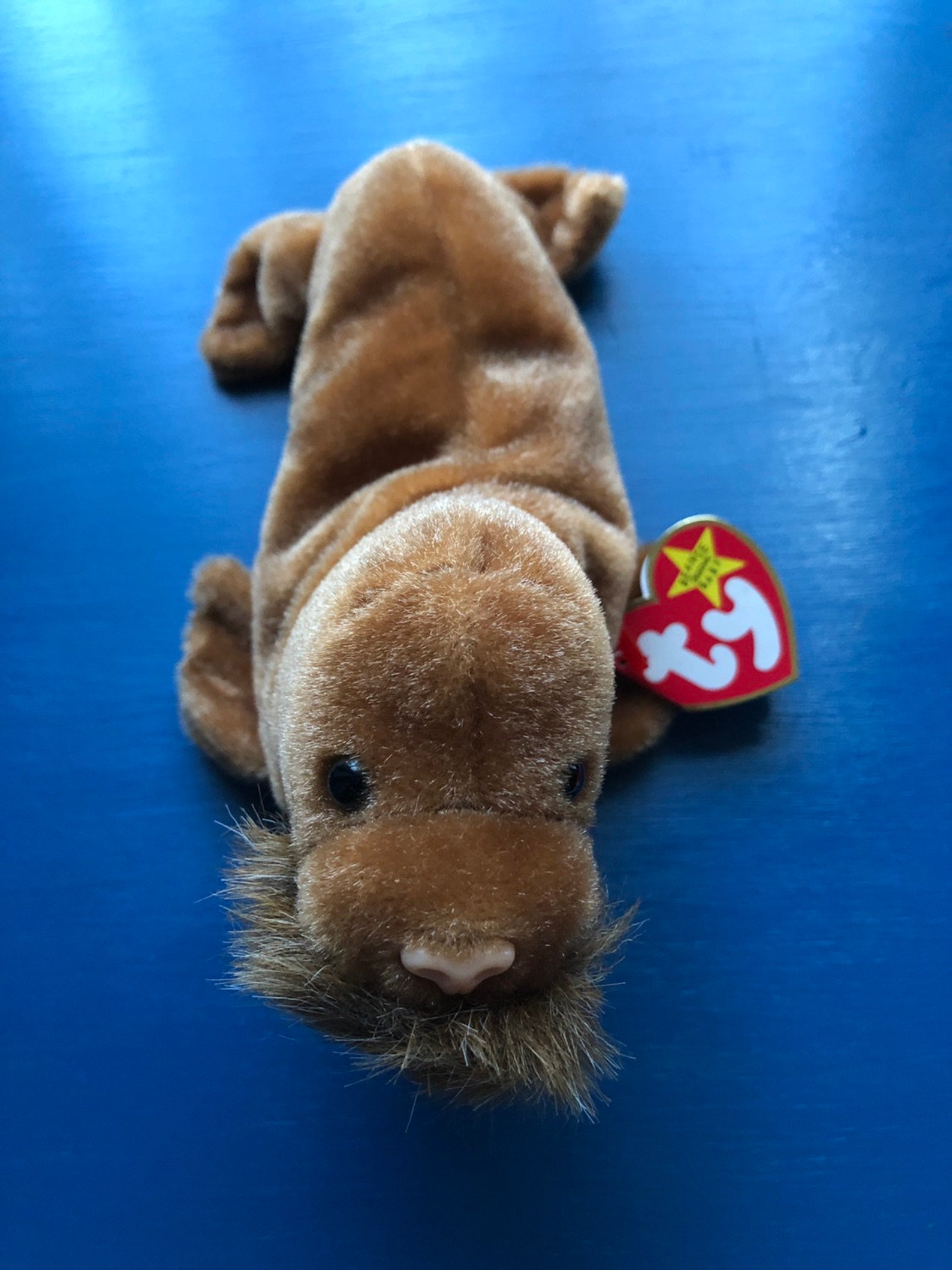 Beanie Baby Paul the Walrus Etsy