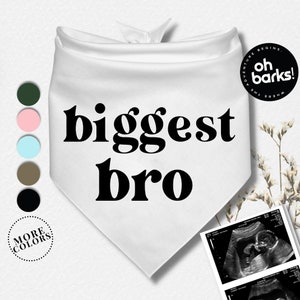 Big Sis or Big Bro Dog Bandana • Baby announcement Dog Bandana • Birth Announcement • Maternity photoshoot • Pink Blue Pregnancy Bandana