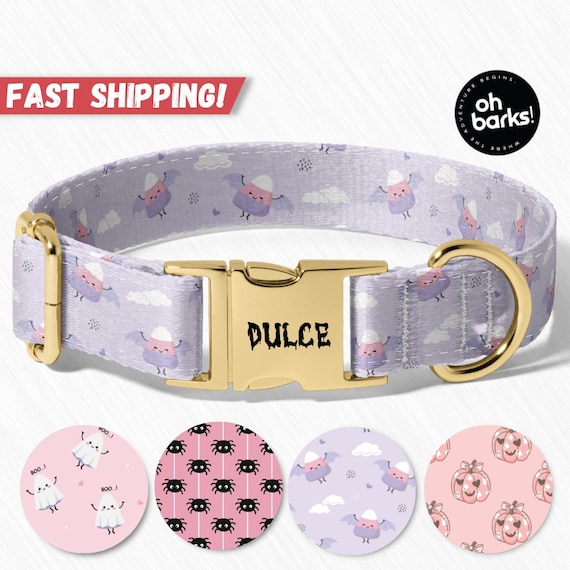 Girl Dog Collars - Personalized Female Dog Collars