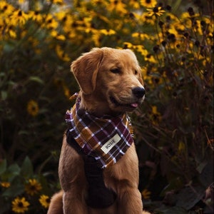 Dog bandana • Autumn Dog Bandana • Personalized Dog Bandana • Fall Dog Bandana • Autumn Dog Bandana •  Plaid Dog Bandana •