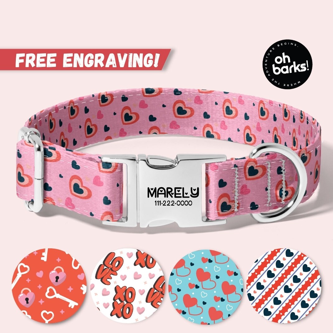 Girl Dog Collar Personalized Etsy
