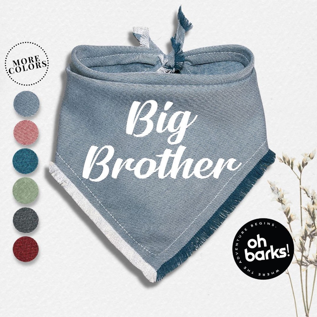 Dog Bandana Pregnancy Announcement Big Sister Dog Bandana Big Brother