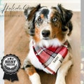 Personalized Christmas Dog Bandana  Red Buffalo Plaid Pet Bandana