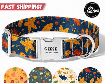 Dog Collar, Fall Autumn Thanksgiving Dog Collars, Pumpkin Spice Latte Dog Collar, Dog Collars for Girls, Puppy Collar,  gifts for pets