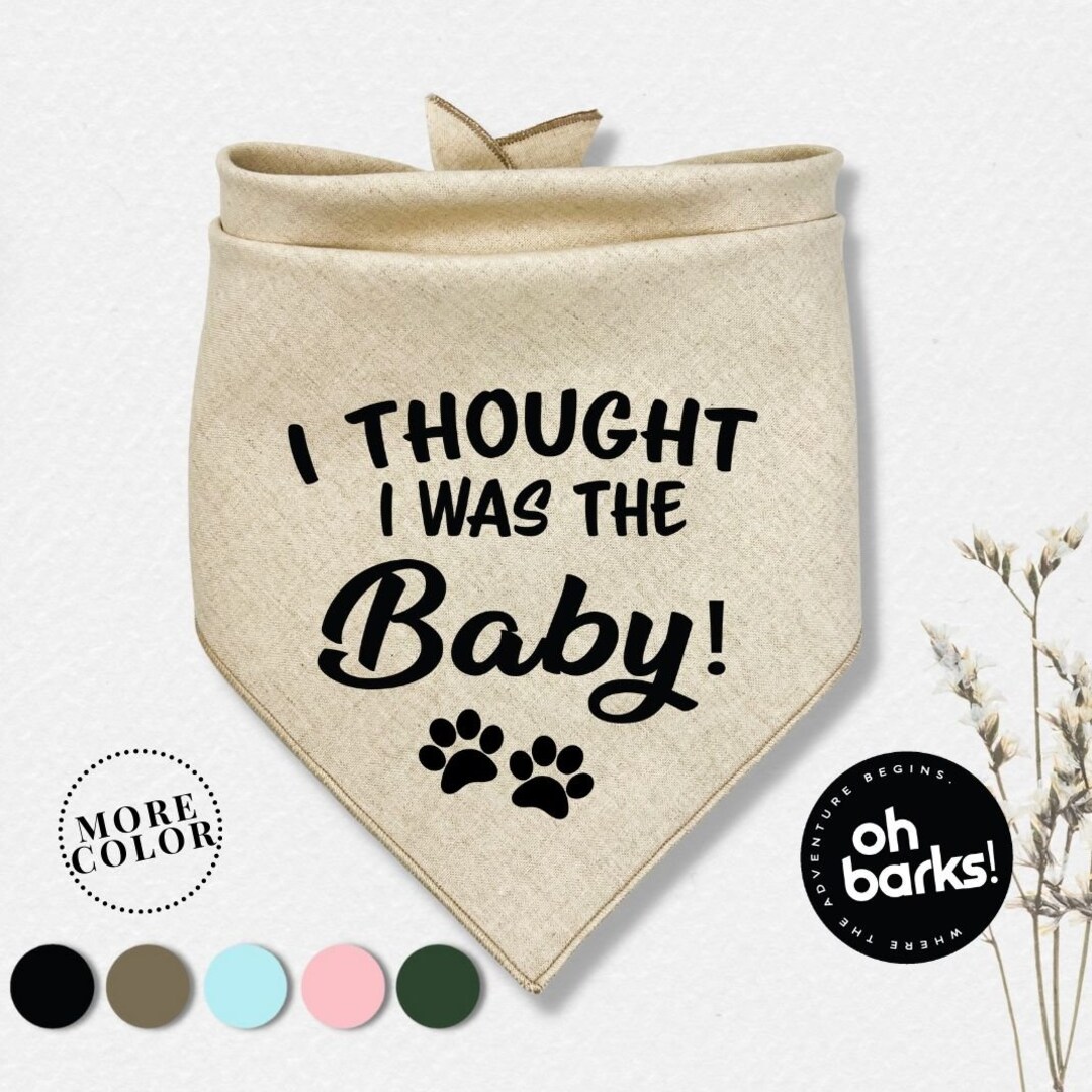 Lustiges Hundehalstuch Zur Schwangerschaftsankündigung – "Ich Dachte, Ich Wäre Das Baby!" – Dreieckstuch Für Kleine/mittelgroße Hunde