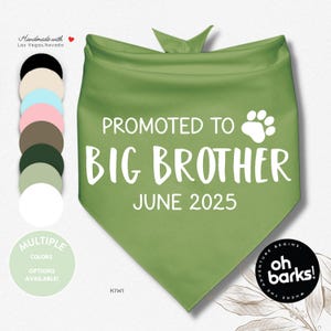 Ogłoszenie ciąży Big Brother Bandana dla psa • Ogłoszenie dziecka • Ogłoszenie narodzin • Sesja zdjęciowa ciążowa • Różowo-niebieska ciąża