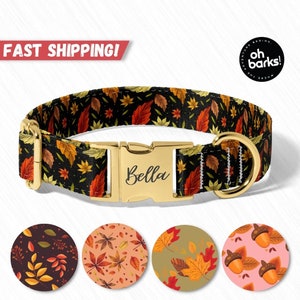 Fall Dog Collar, Personalized Autumn Dog Collar With Name ,  Cute Dog Collars , Adjustable, and Heavy Duty, Sizes XSmall - XLarge