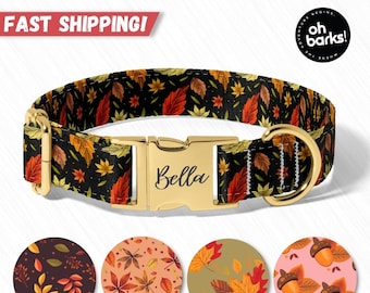 Fall Dog Collar, Personalized Autumn Dog Collar With Name ,  Cute Dog Collars , Adjustable, and Heavy Duty, Sizes XSmall - XLarge