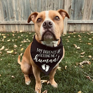 Pregnancy Announcement MY PARENTS are getting a HUMAN Dog Bandana Baby Announcement Birth Announcement Pregnancy gender reveal image 5
