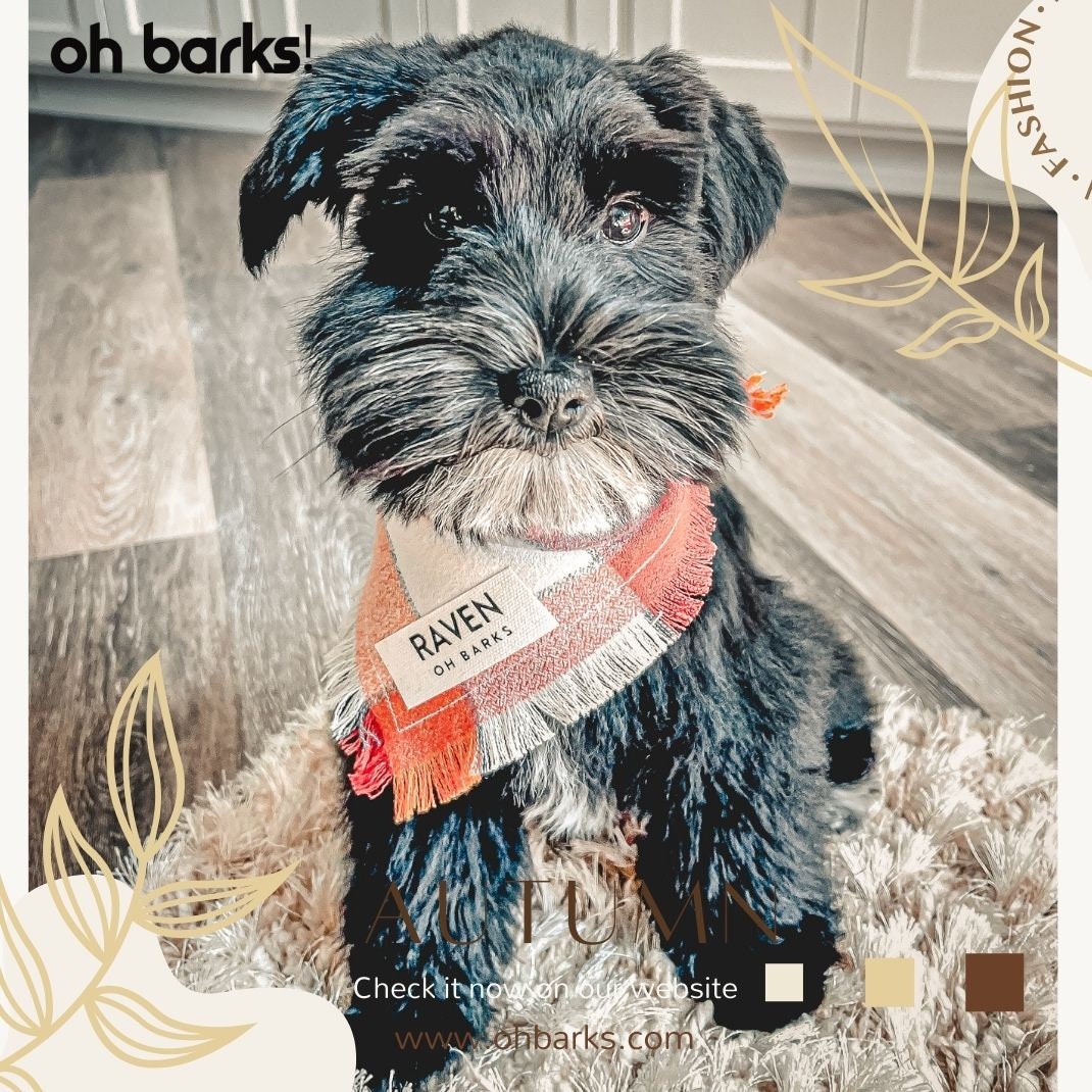 Herbst-Hundehalstuch 2er-Set – Kariert, Wendbar, Für Kleine Bis Große Hunde (bis 53 Cm Halsumfang)