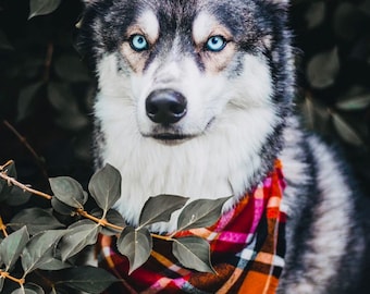 Dog Bandana • Personalized Dog bandana • Custom dog gift • Flannel dog bandana