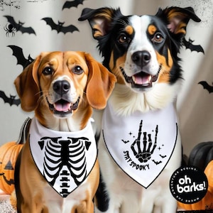 Halloween-Hund Bandana SKELETON Hand Bleiben Sie gruseliges Lustiges Halloween-Haustier-Bandana, Witchy Haustier-Bandana, Hundehalstuch für große Jungen