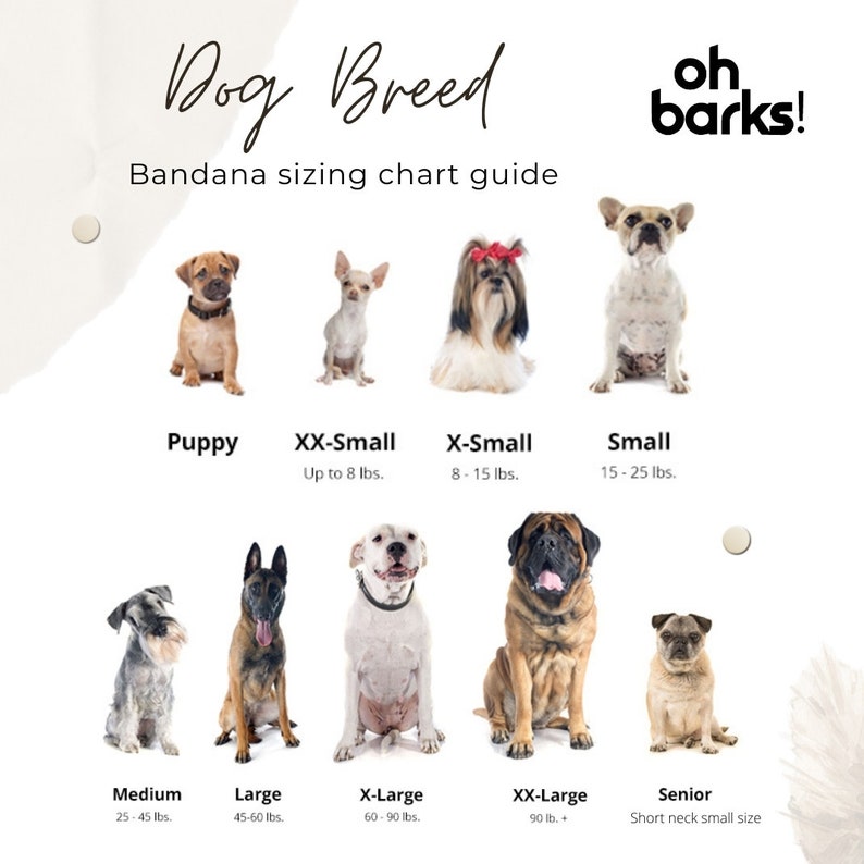 Dog Bandana Personalized Name Bandana Customized Dog Tag Etsy