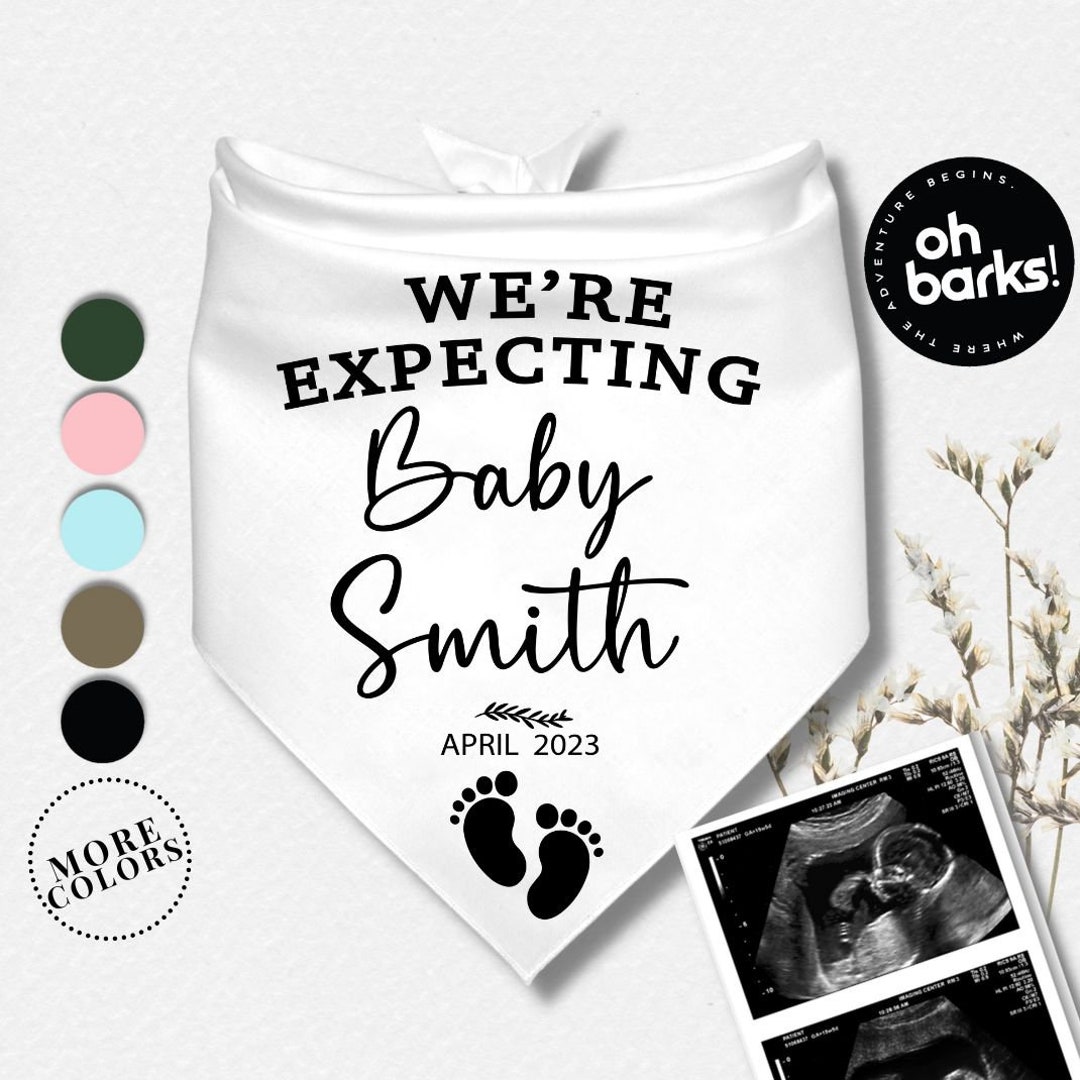 Pregnancy Announcement Dog Bandana Pregnancy Reveal Dog Bandana Birth