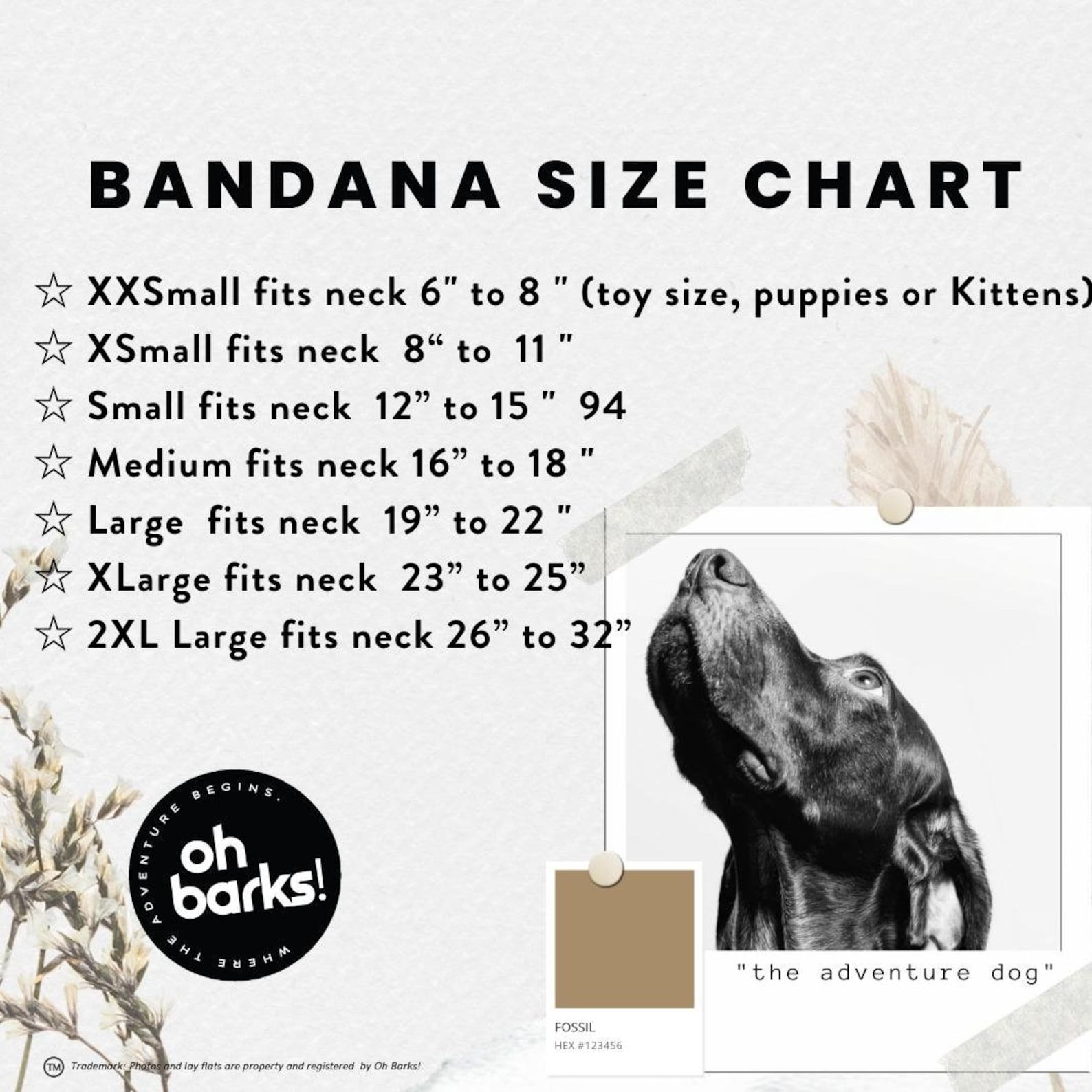 Dog Bandana Personalized Name Bandana Customized Dog Tag Etsy