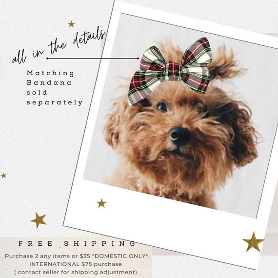 Gift bow cheap for puppy